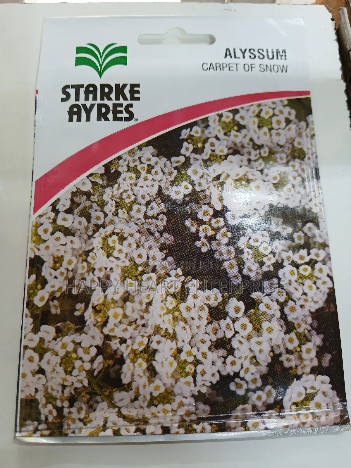 Carpet Of Snow Alyssum Flower 1g