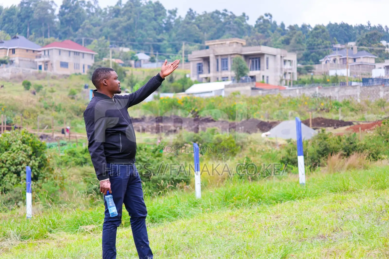 Ngong-Kibiko Plots^Mw