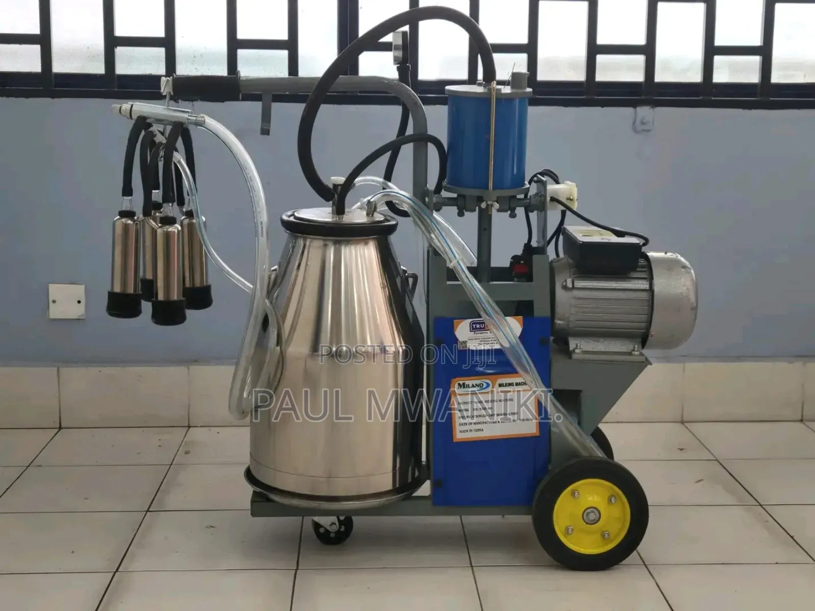 Milano Italy Single Bucket Milking Machine