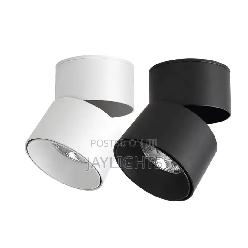 Foldable Surface Mounted Led Downlight Rotatable Ceilinglamp