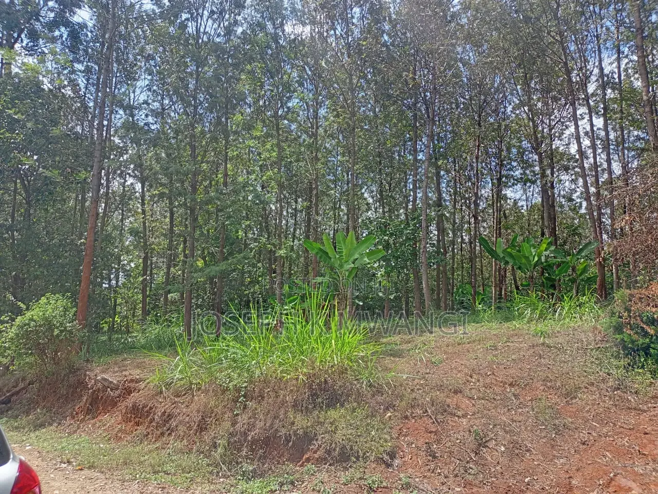 Meru Near Abothuguchi Sec Sch. 1 Acre Ideal for Coffee, Avocado,Damia