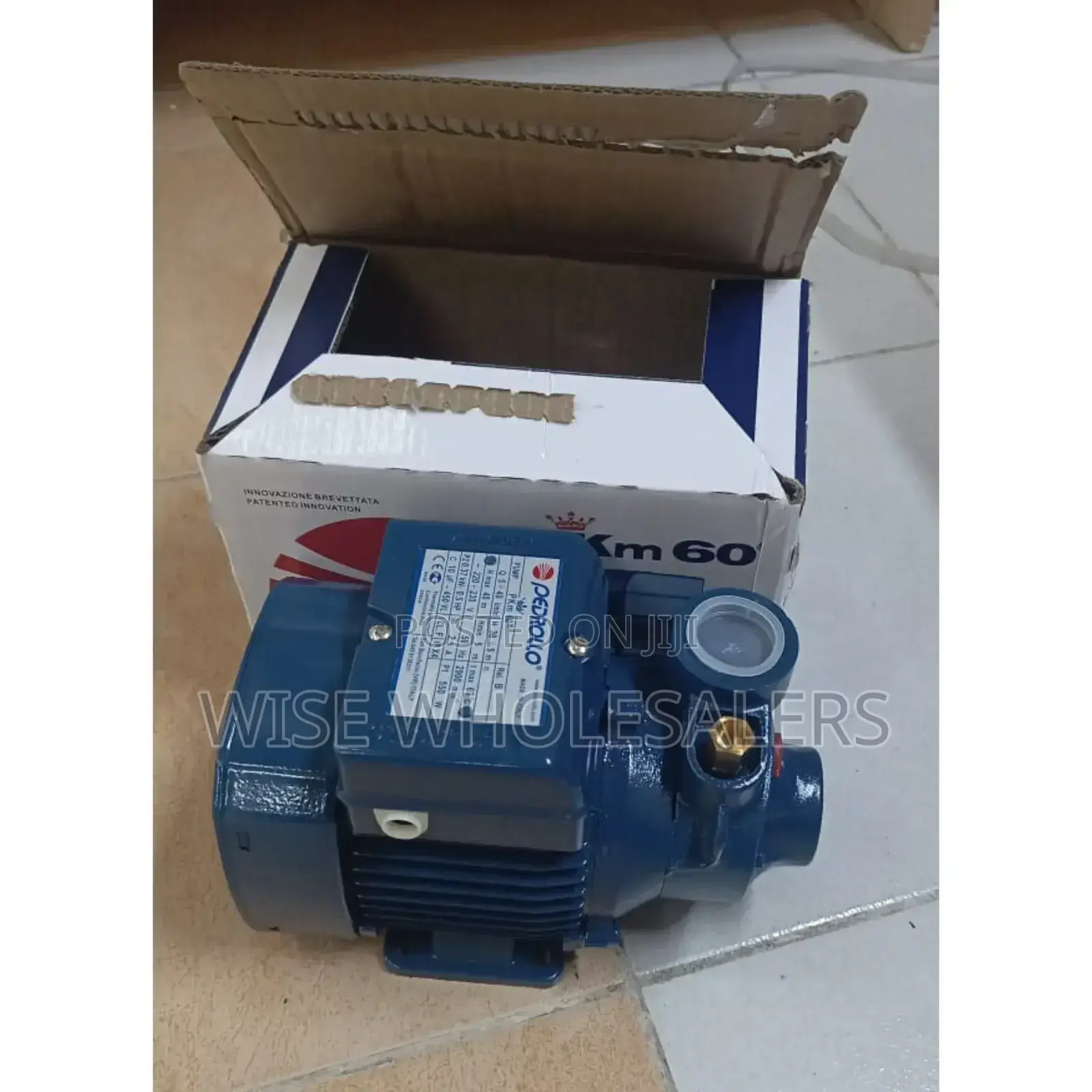 Pedrollo Pkm60 Water Pump. √°°°