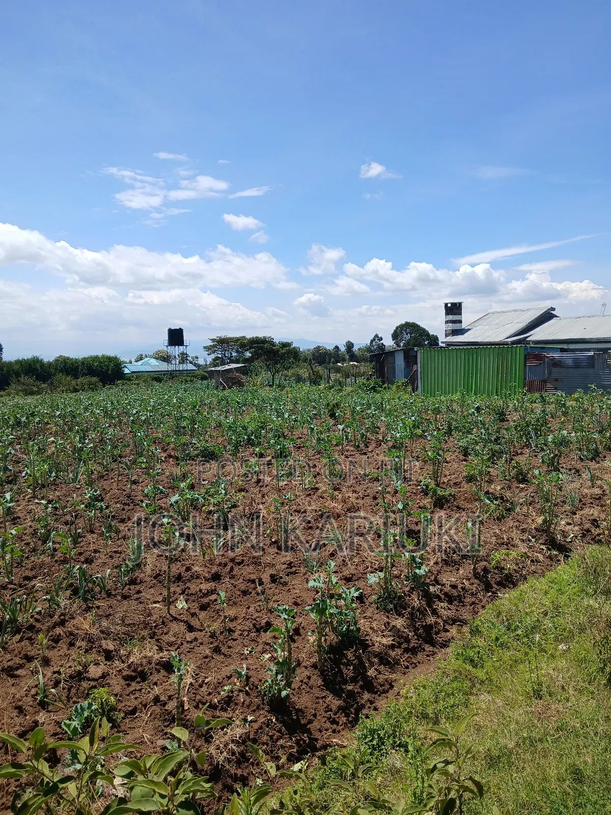 50x100 Plots in Naivasha Nyamathi 700metres From Highway