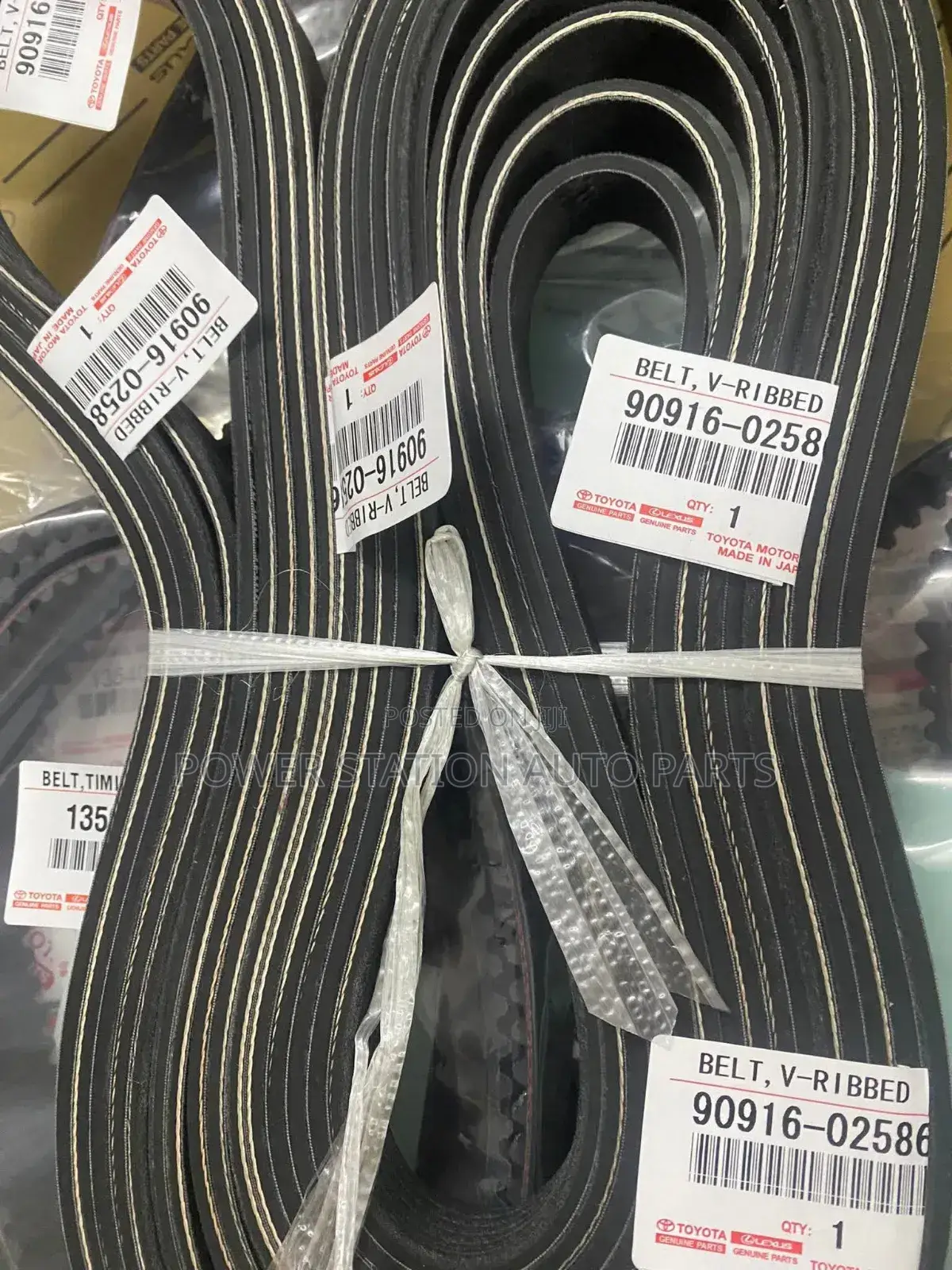 Fan Belt Landcruiser