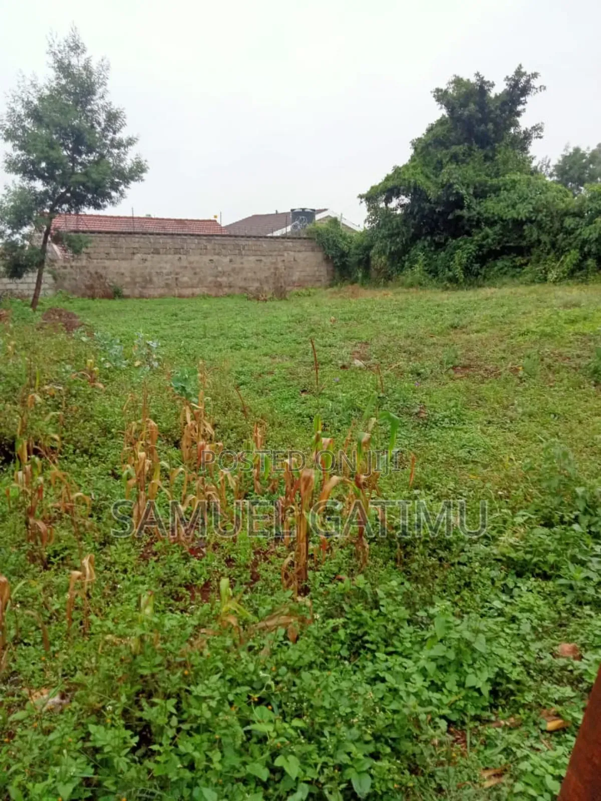 Plot for Sale