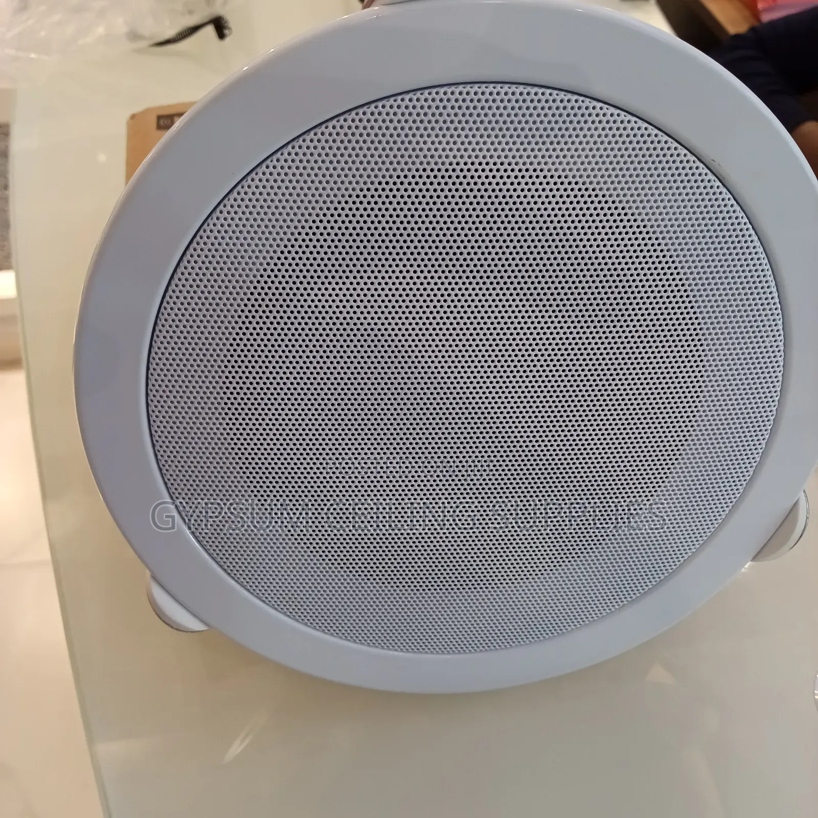 Ceiling Mounting Speaker
