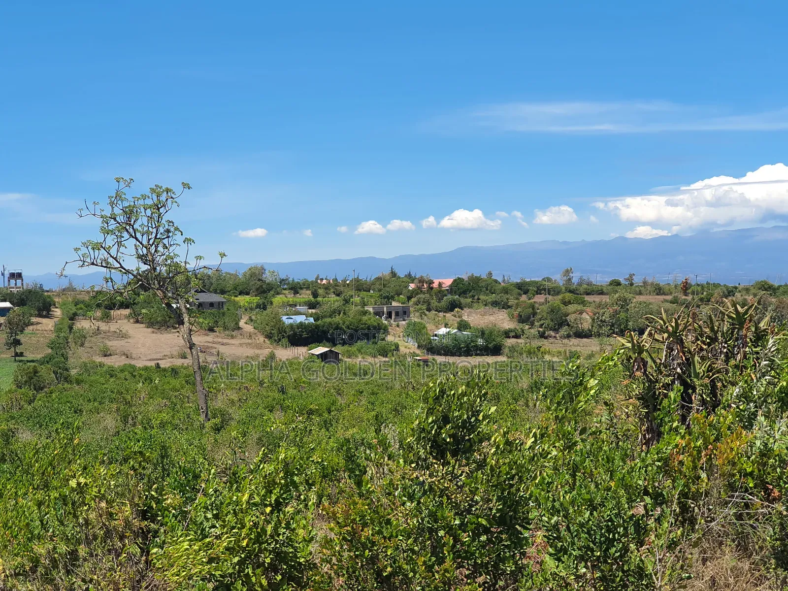 2 Acres in Giachuma [ Narumoru ]