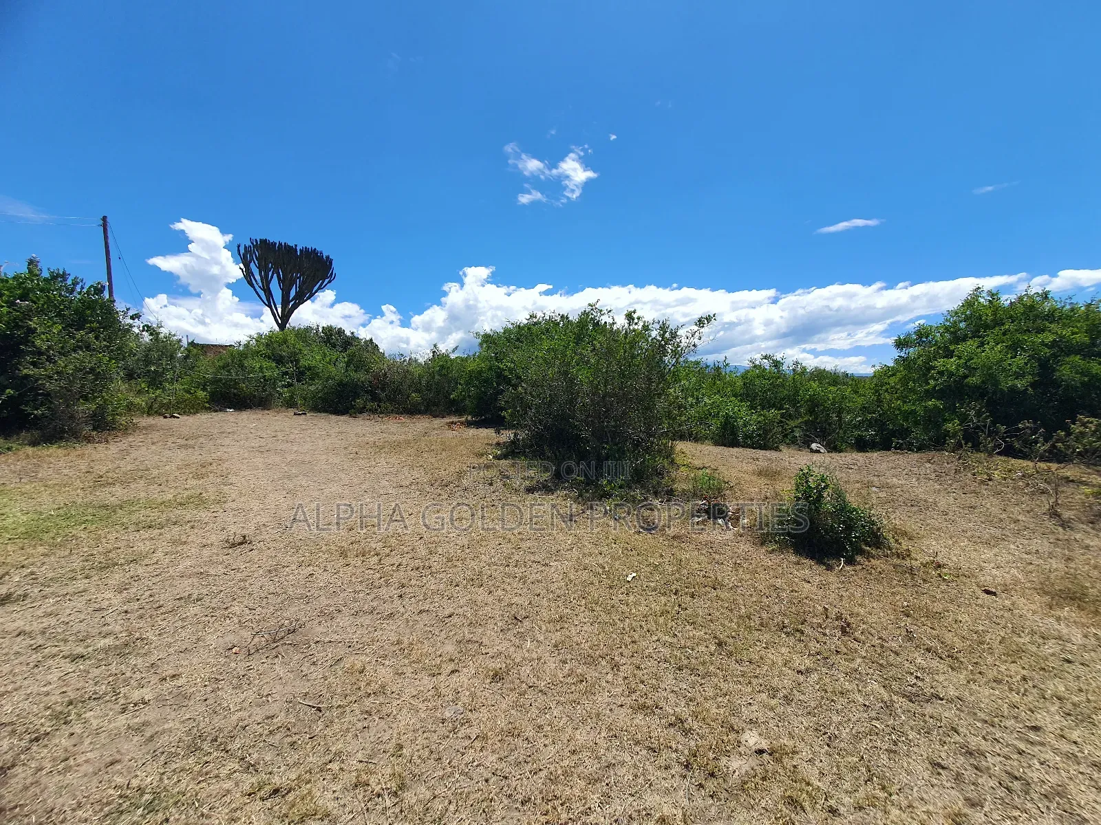 2 Acres in Giachuma [ Narumoru ]