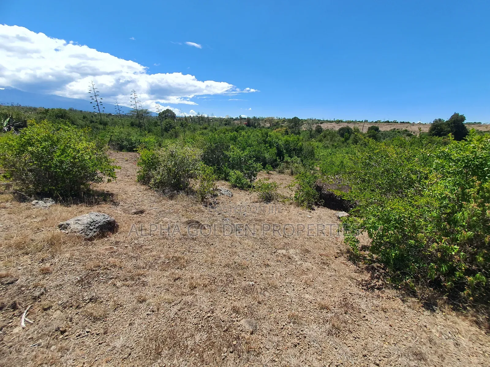 2 Acres in Giachuma [ Narumoru ]