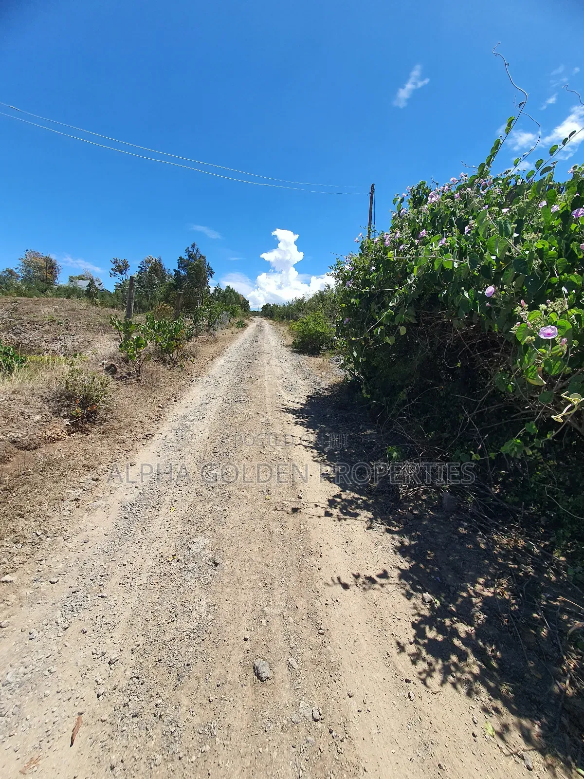 2 Acres in Giachuma [ Narumoru ]