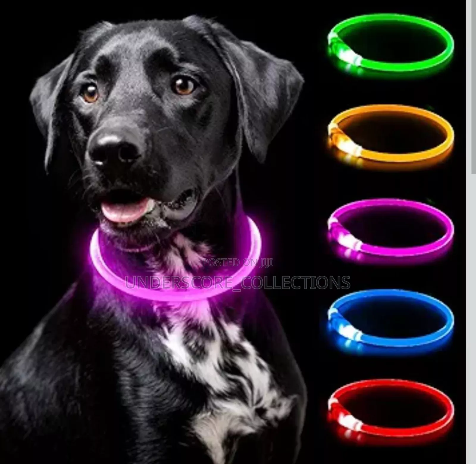 Rechargeable Light Up Pets Collar