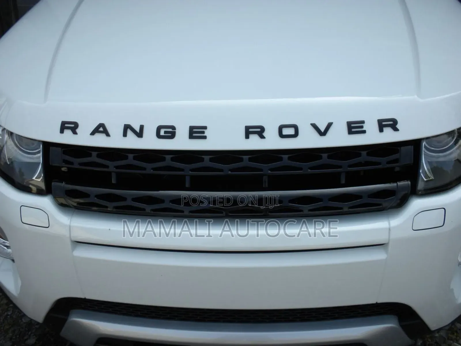 Range Rover Front and Rear Logo Emblem