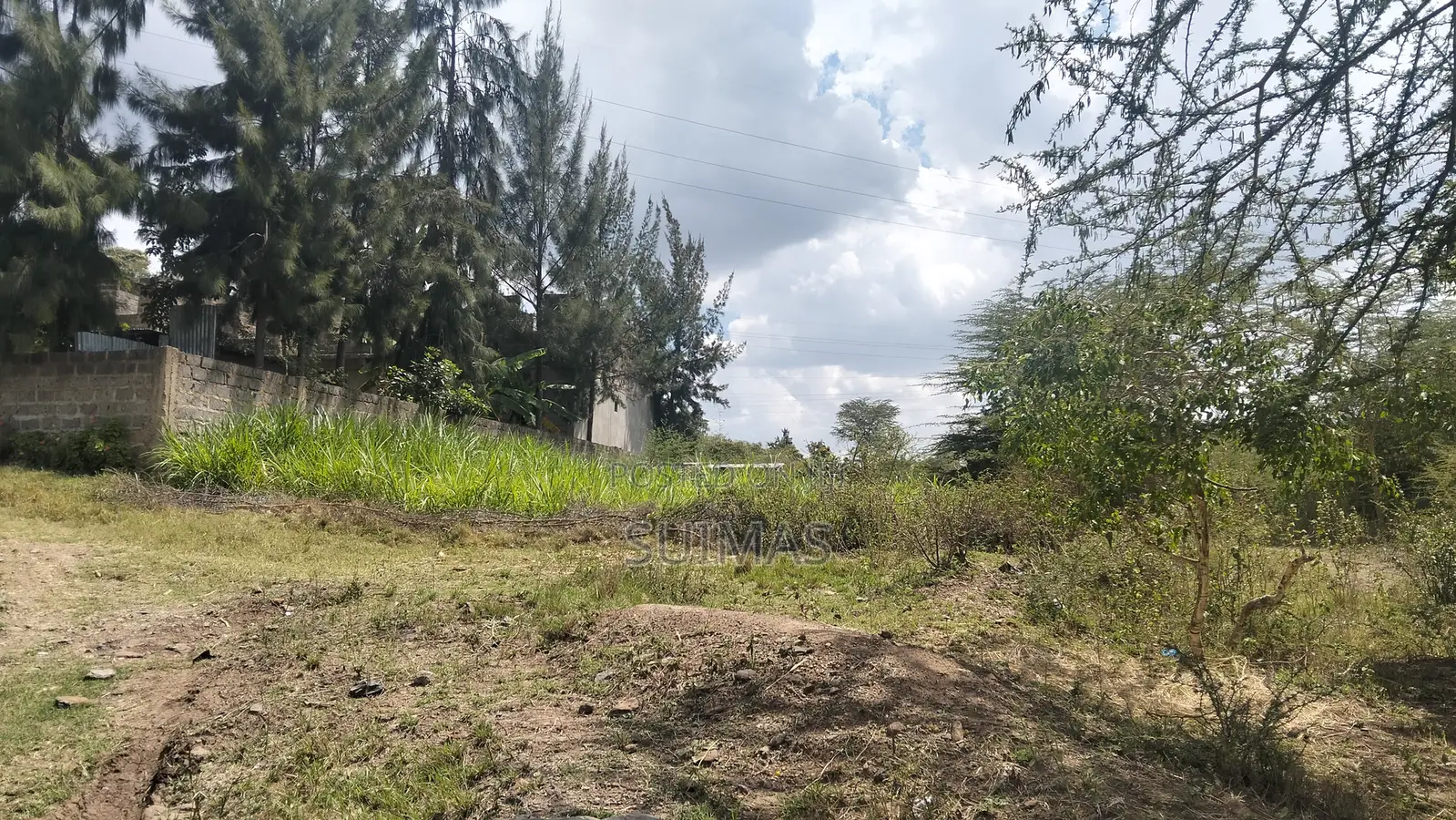 100x100 Plots for Sale in Chelleni Chokaa, Ruai – Prime Along Tarmac
