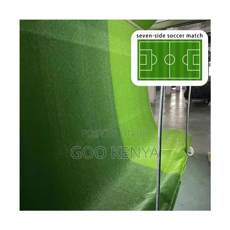 Home Outdoor Carpet; High-Quality Artificial Grass for Football Pitch