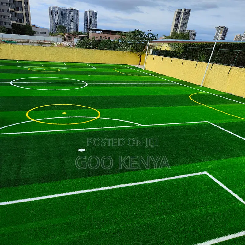 Home Outdoor Carpet; High-Quality Artificial Grass for Football Pitch