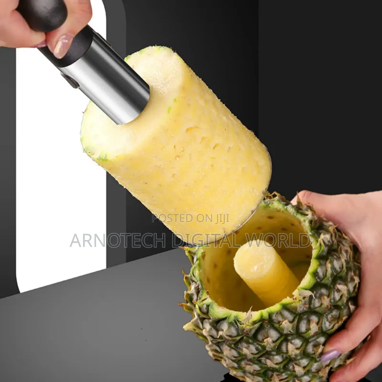 Pineapple Corer/ Slicer