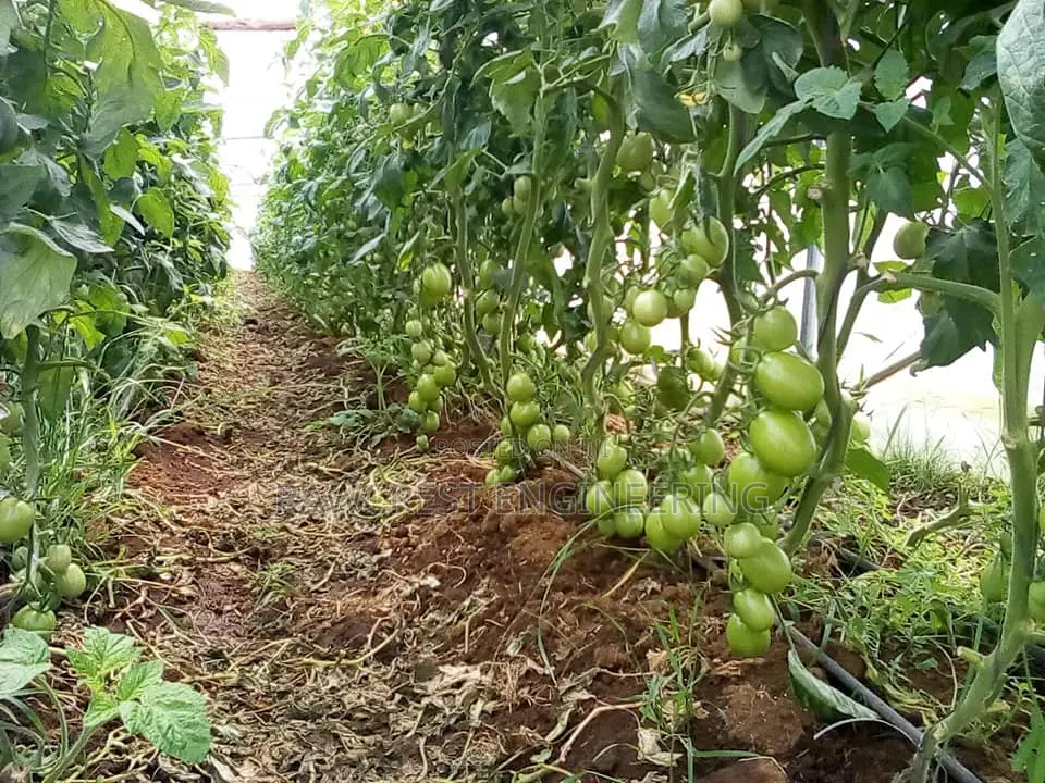 Greenhouse Installation And Related Service