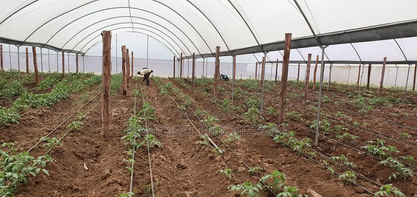 Greenhouse Contruction