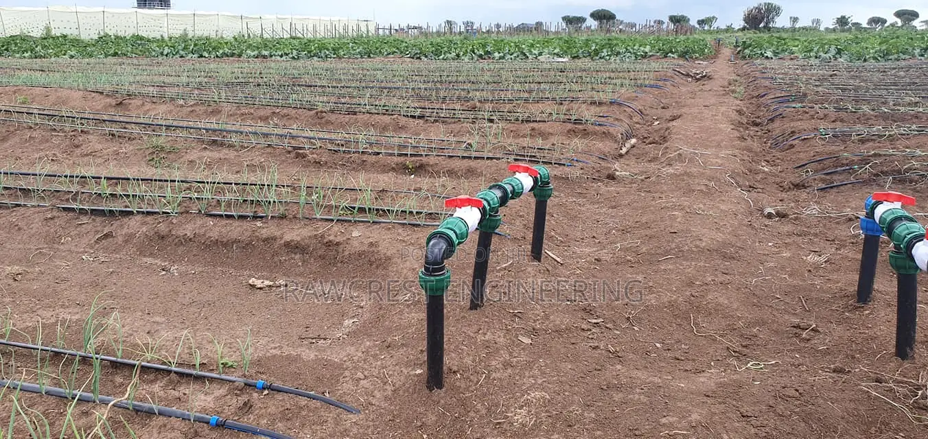 Greenhouse Contruction
