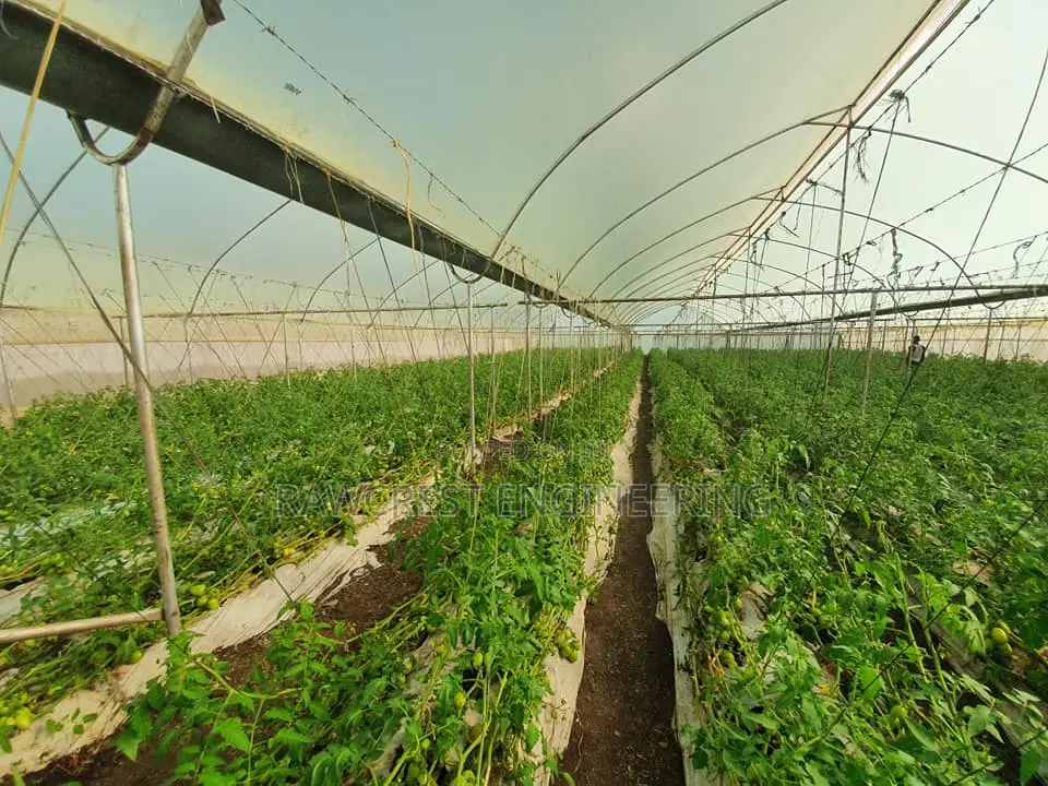 Greenhouse And Related Services