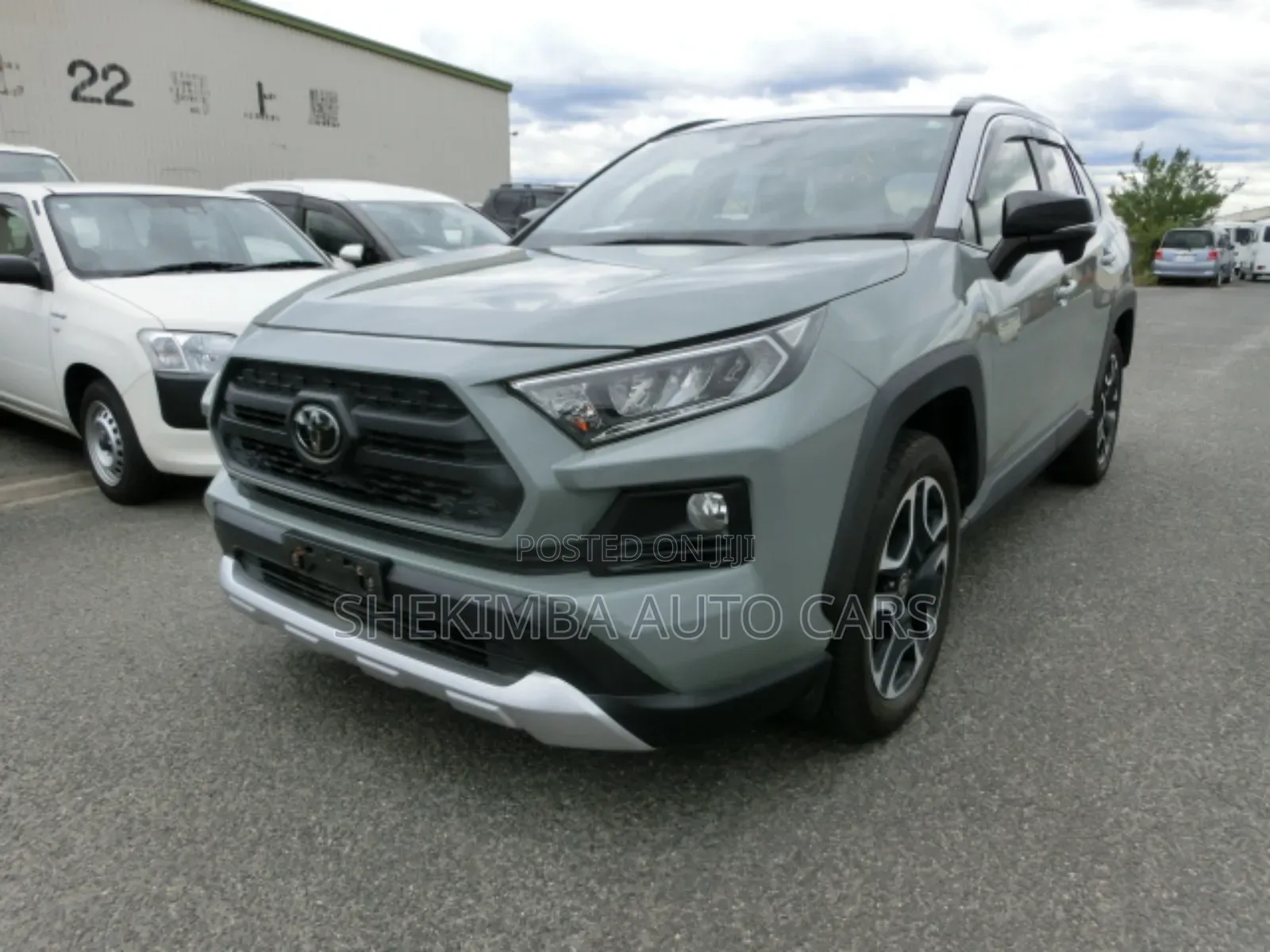 Toyota RAV4 2019 Blue