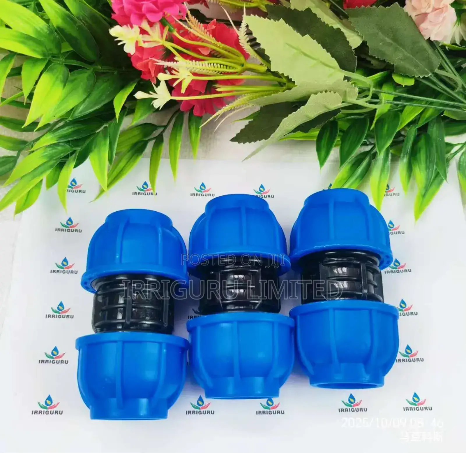 Blue Coupling