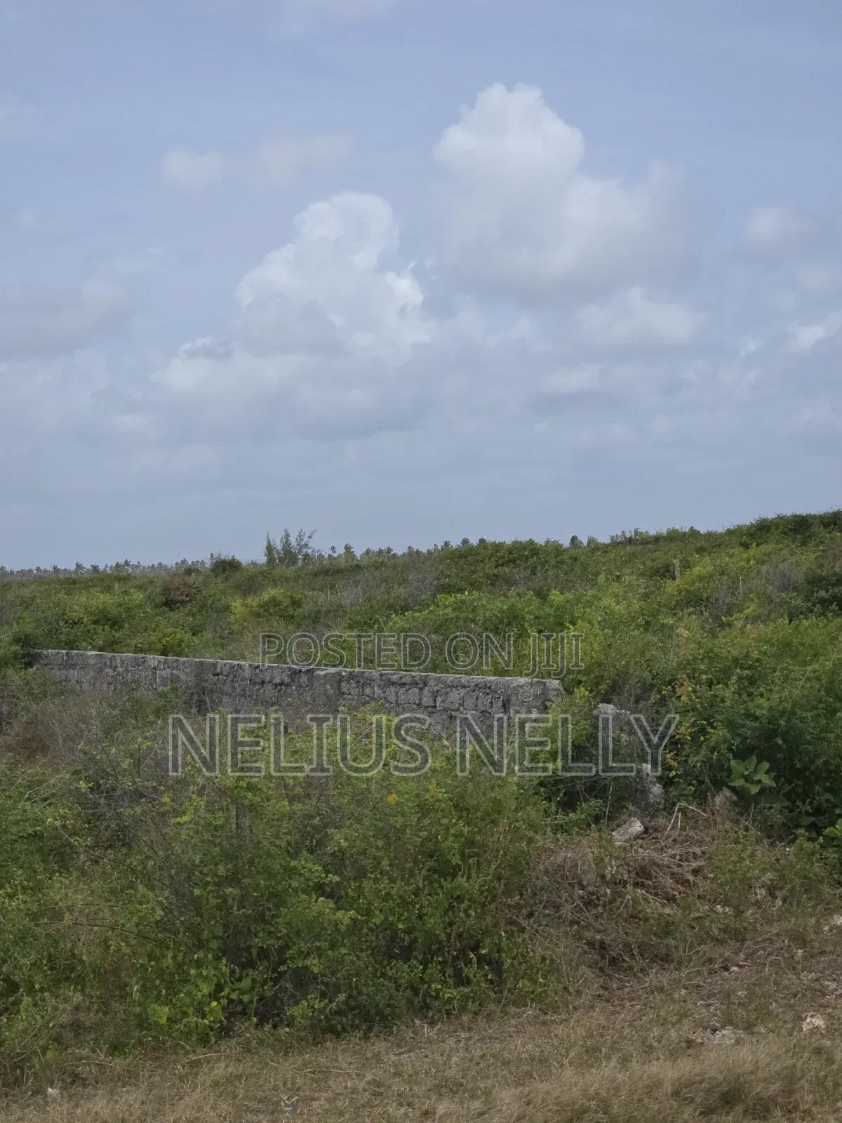 1acre Beach Land for Sale Kilifi Tezo Area