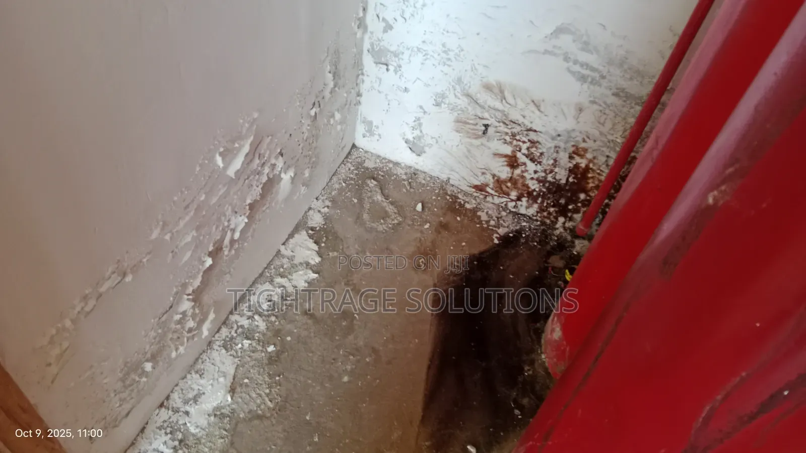 Premium Rising Damp Treatment