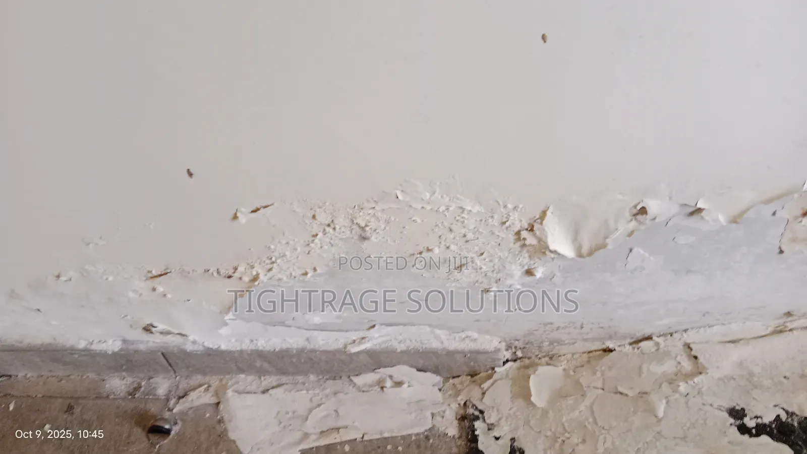 Premium Rising Damp Treatment