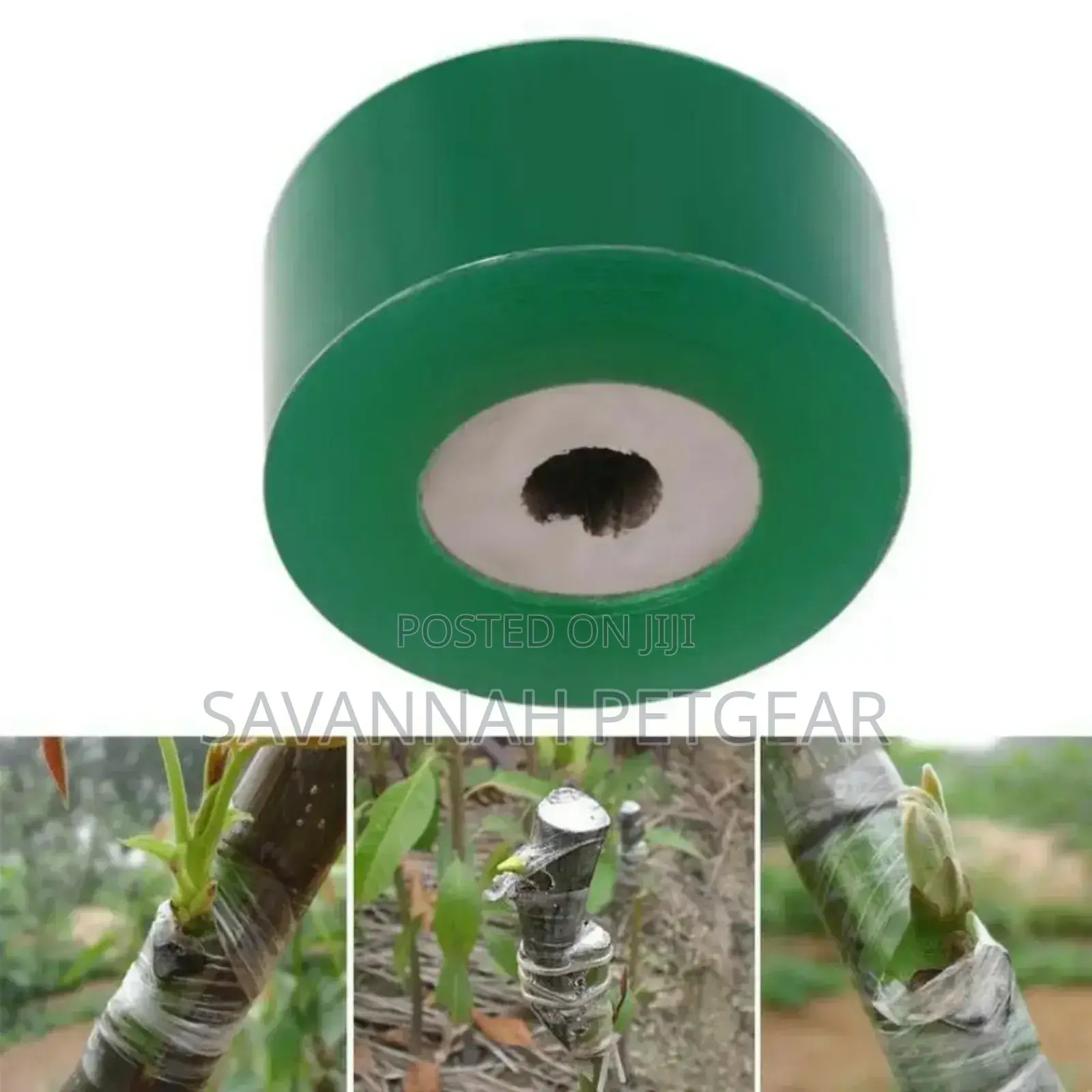 High Quality Self-Adhesive Grafting Tape Film (3cm Wide, 100m Long)