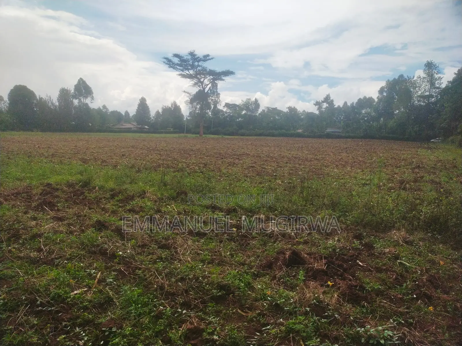 5.5 Acres Prime Land for Sale in Kitale Remaining