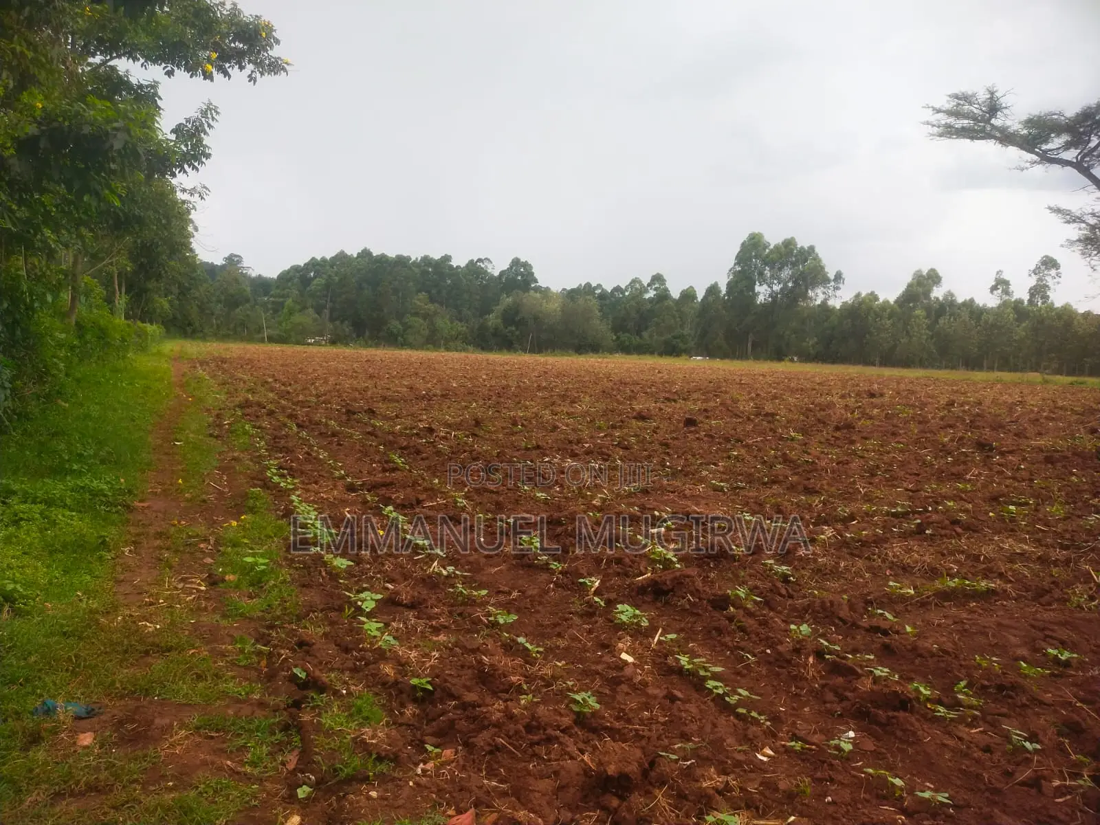 5.5 Acres Prime Land for Sale in Kitale Remaining