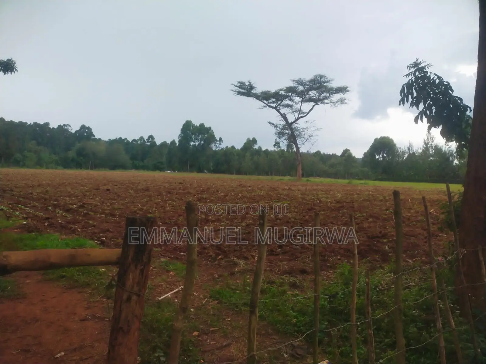 5.5 Acres Prime Land for Sale in Kitale Remaining
