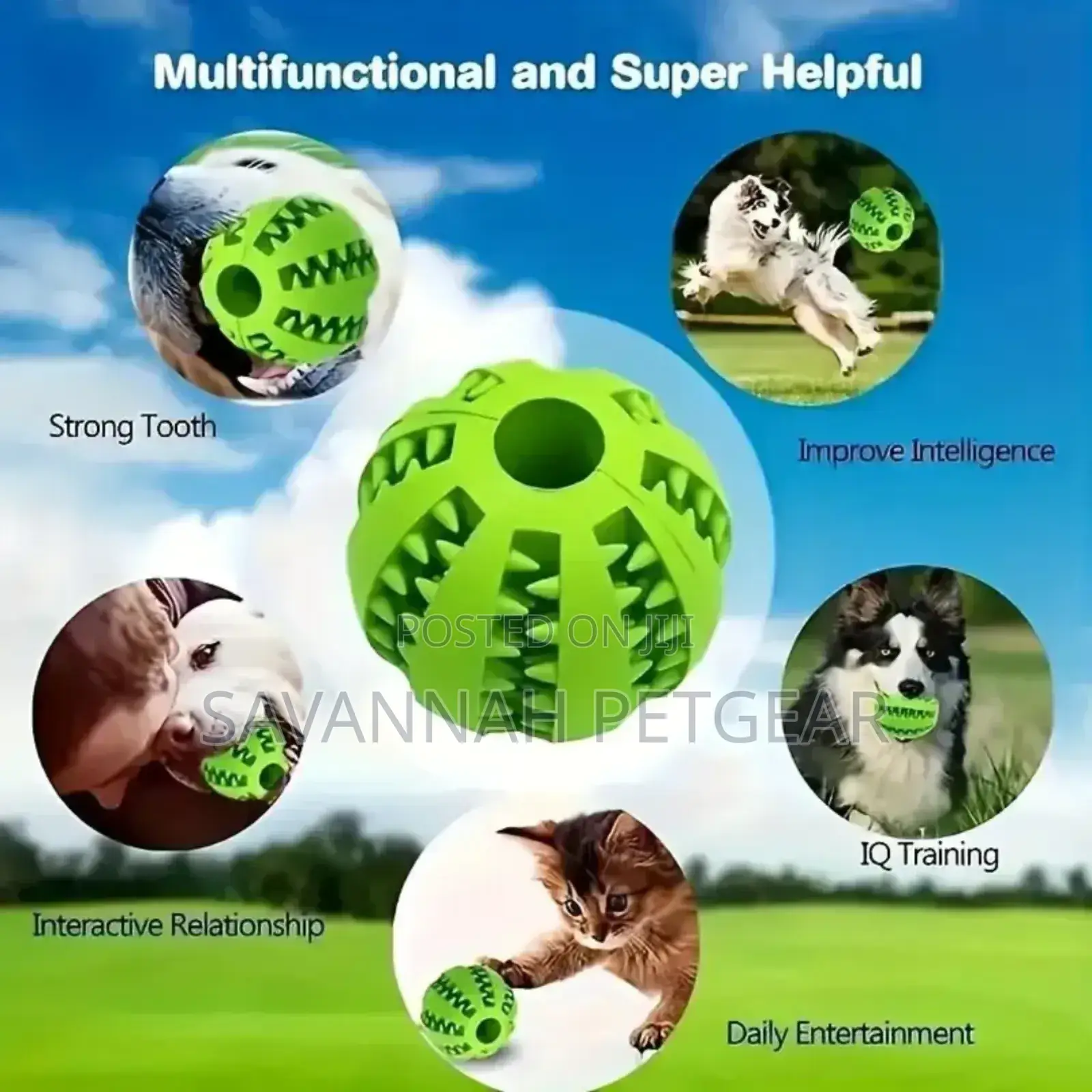 Chew Toy Ball Made of Natural Rubber for Cats and Dogs - Large Size
