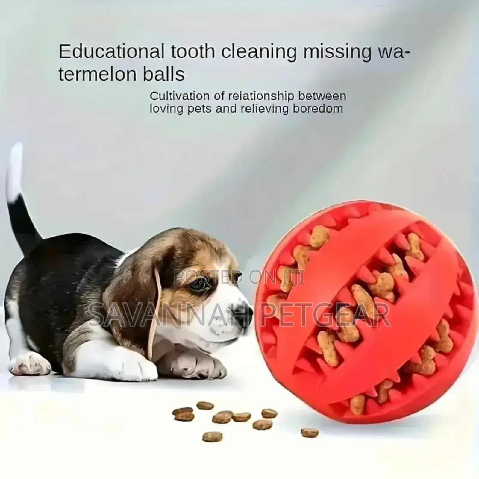 Chew Toy Ball Made of Natural Rubber for Cats and Dogs - Large Size