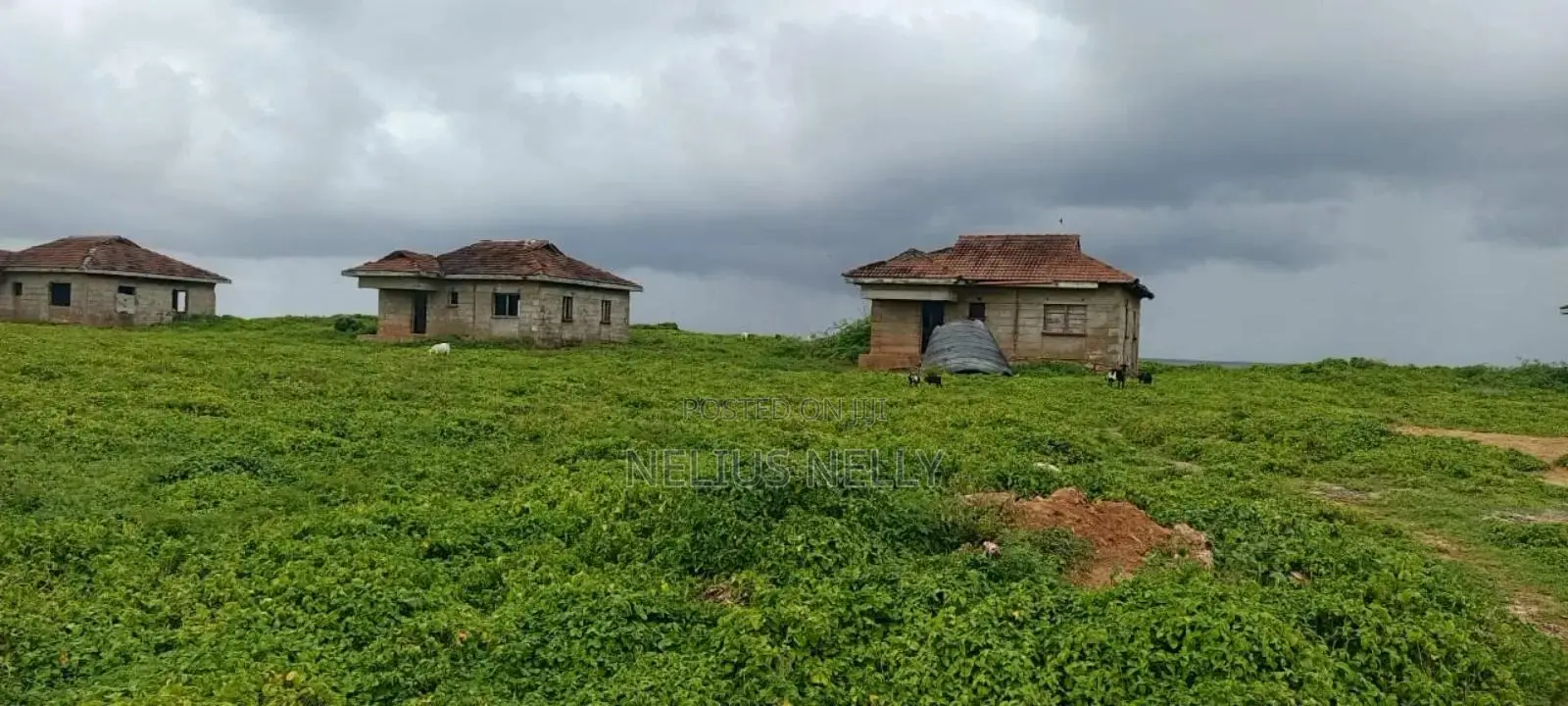 1acre Beach Land for Sale Kilifi Tezo Area