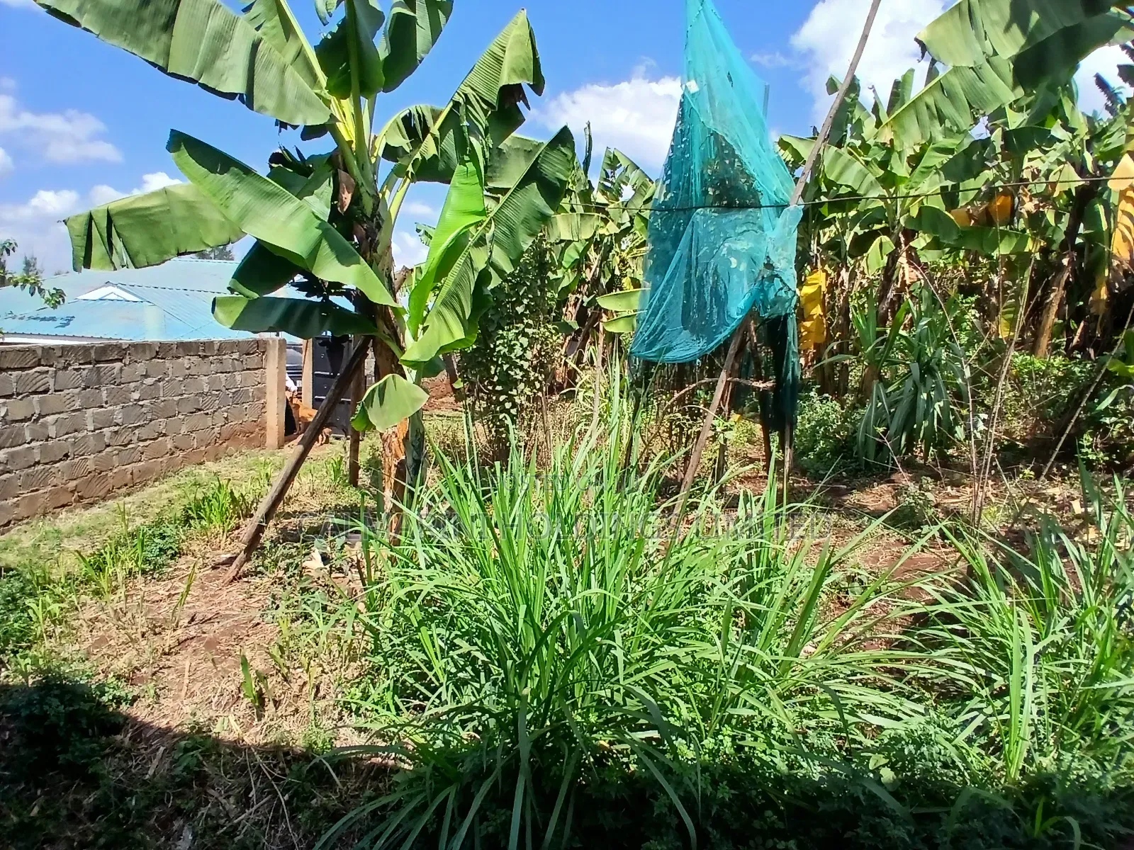 Half Acre Plot With a Spacious 3 Bedroom Bungalow and 2 Bedrm Sq