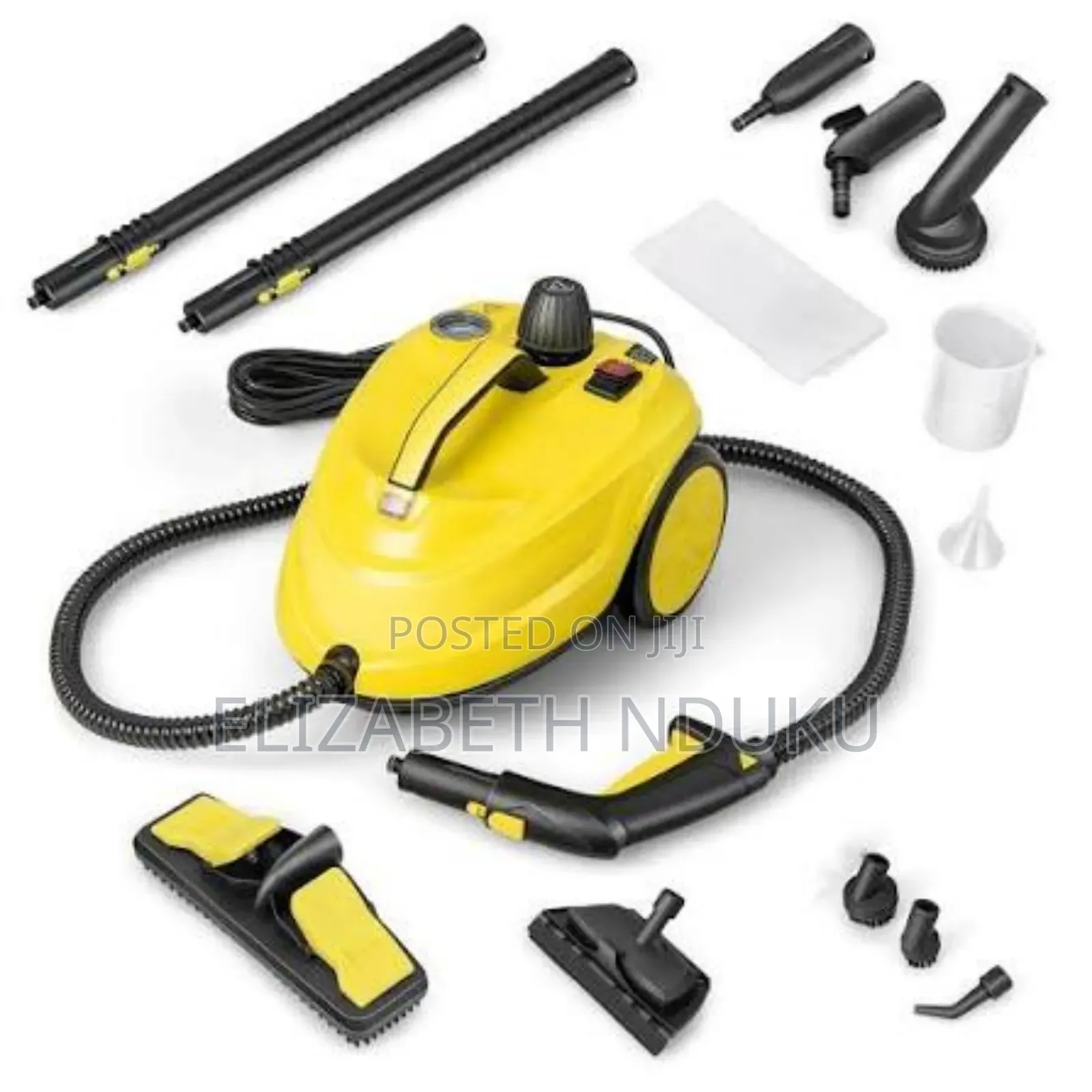 Deep Sanitation Steam Cleaner