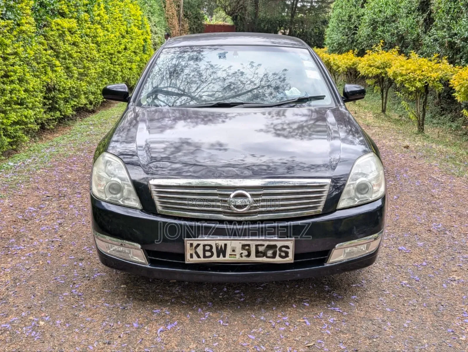 Nissan Teana 2010 Black