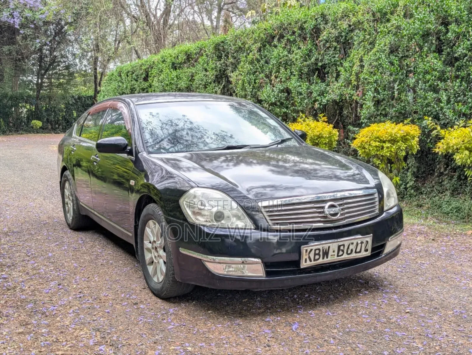 Nissan Teana 2010 Black