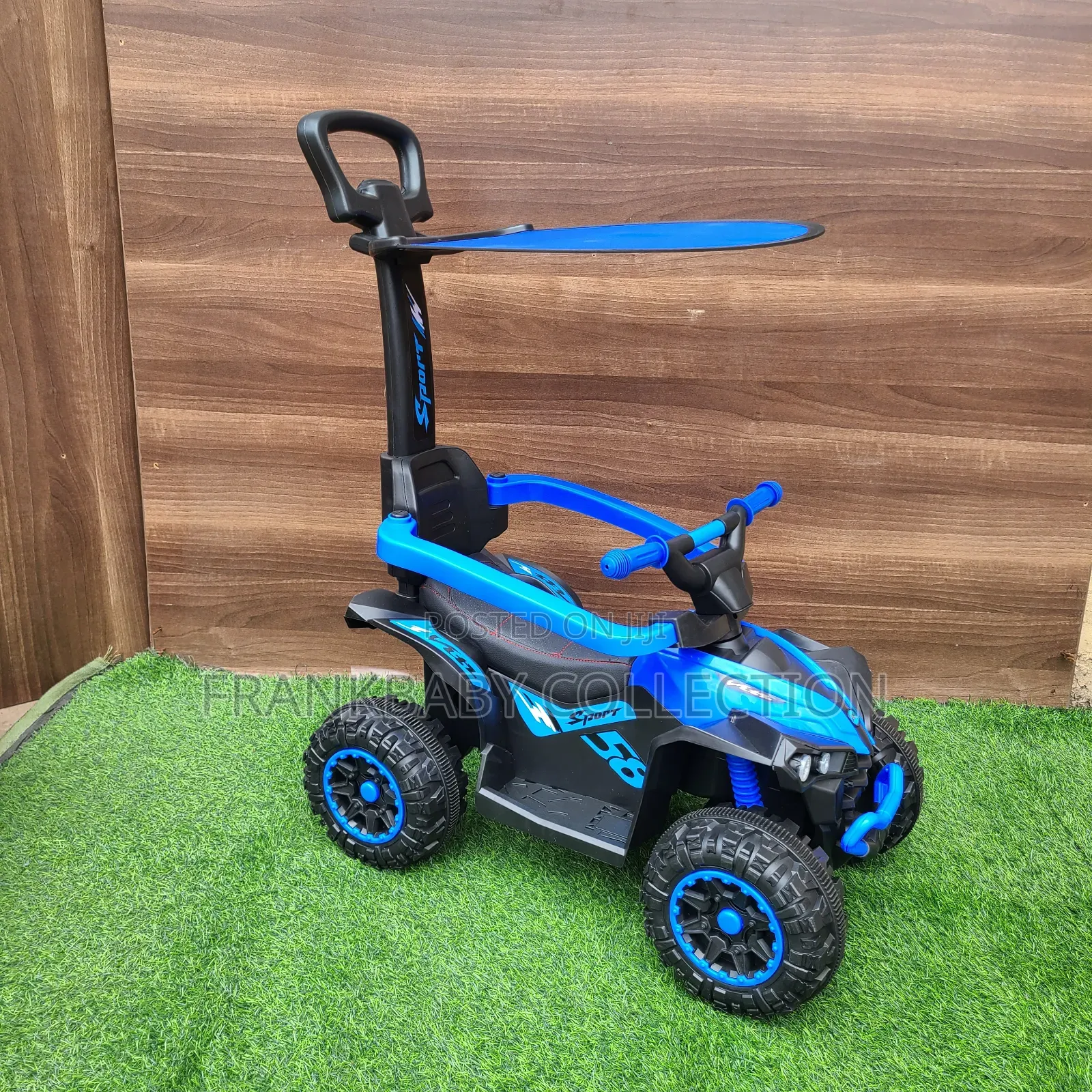 Kids Zone Rider Push Car With Canopy