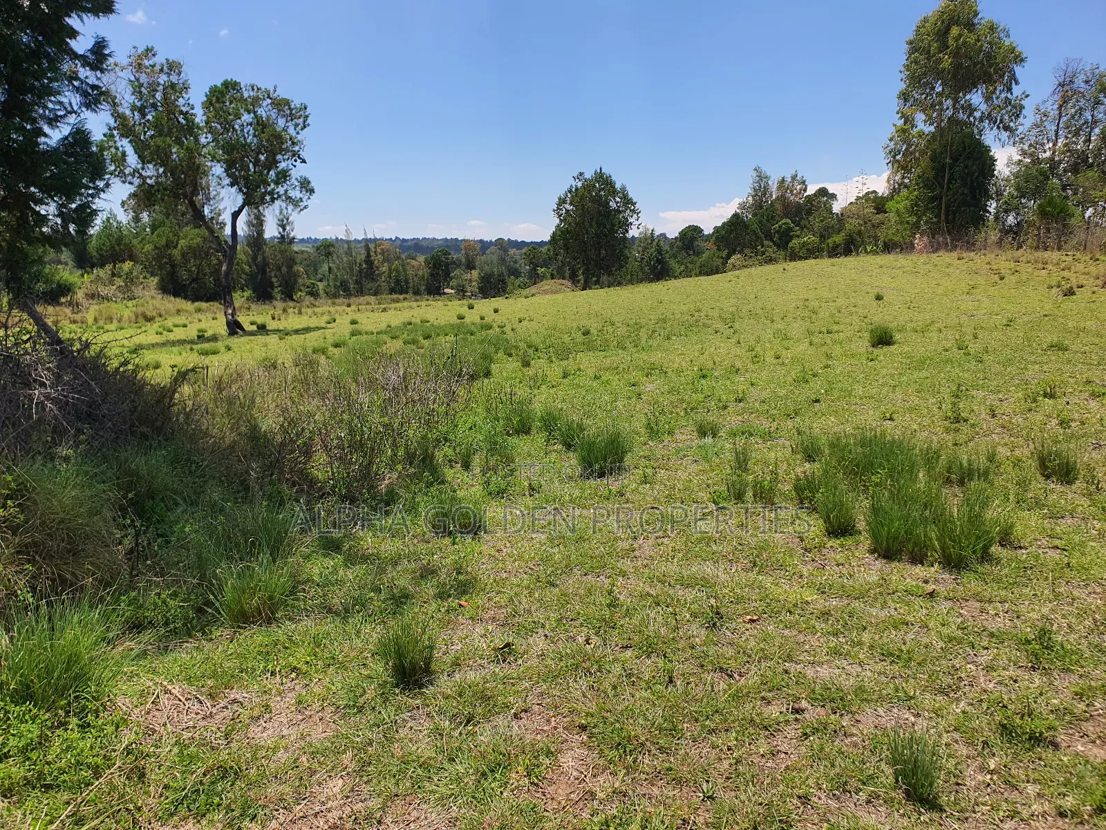 2 Acres in Nanyuki [ Ngarariga ]