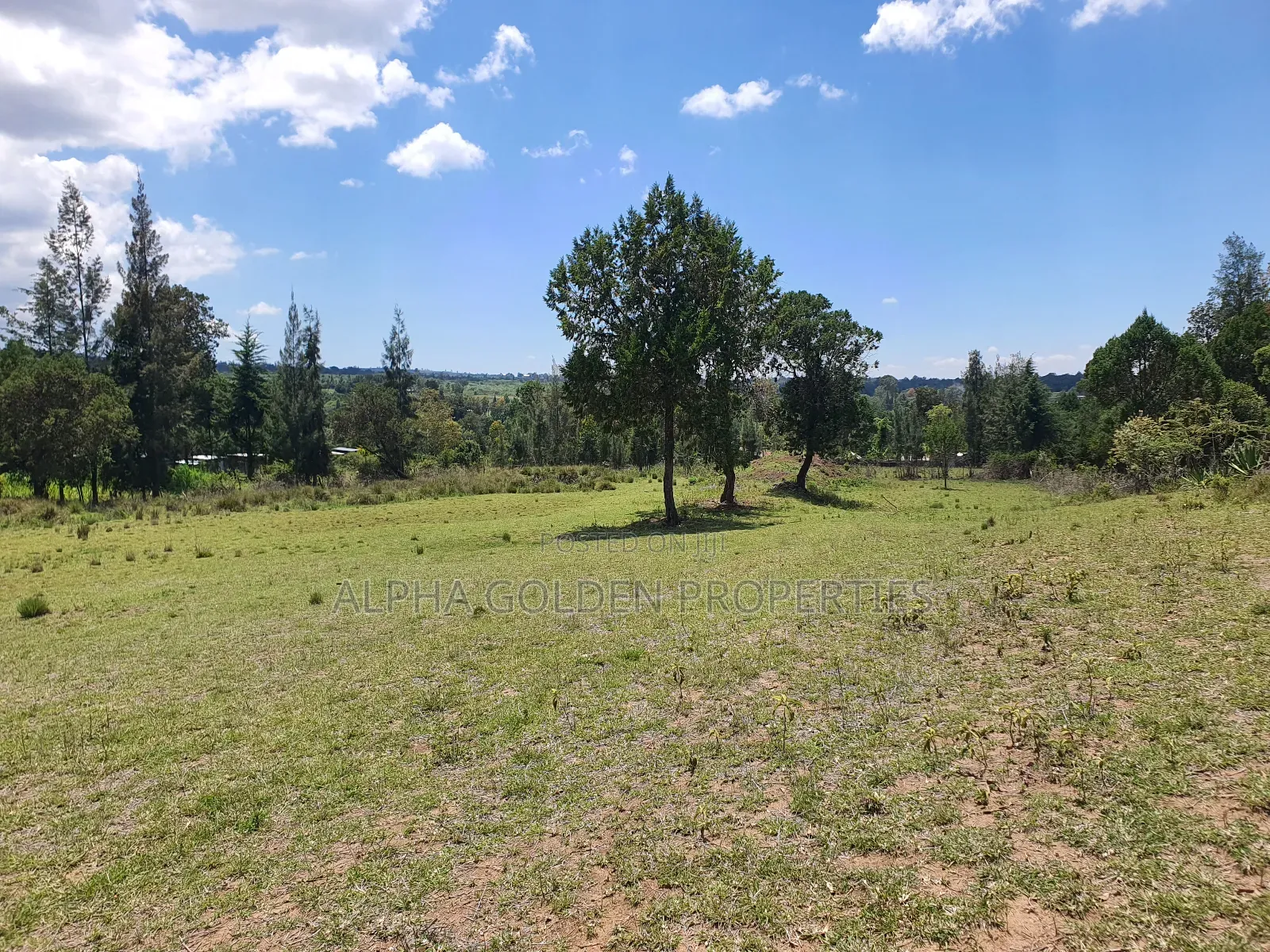 2 Acres in Nanyuki [ Ngarariga ]