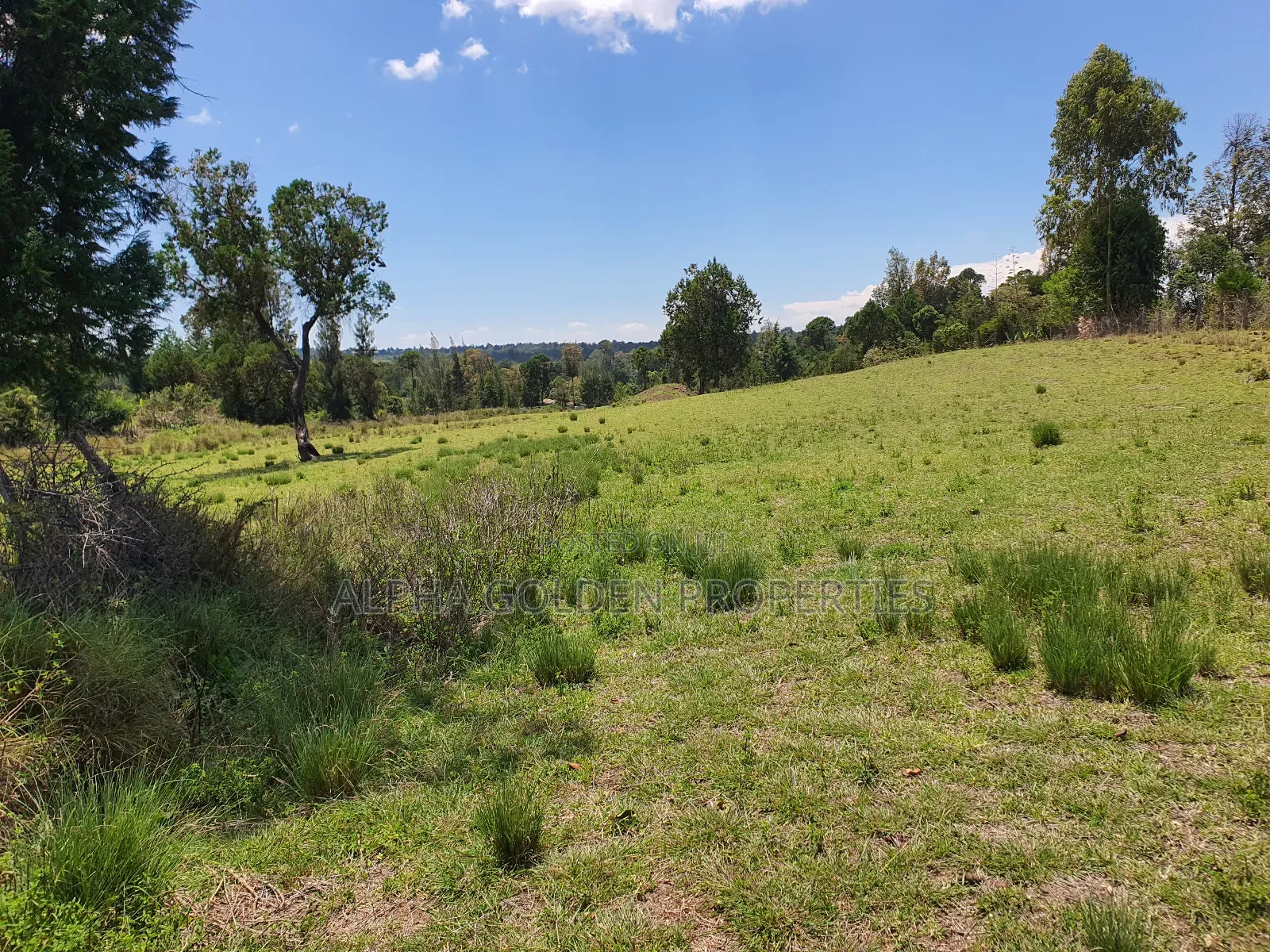 2 Acres in Nanyuki [ Ngarariga ]