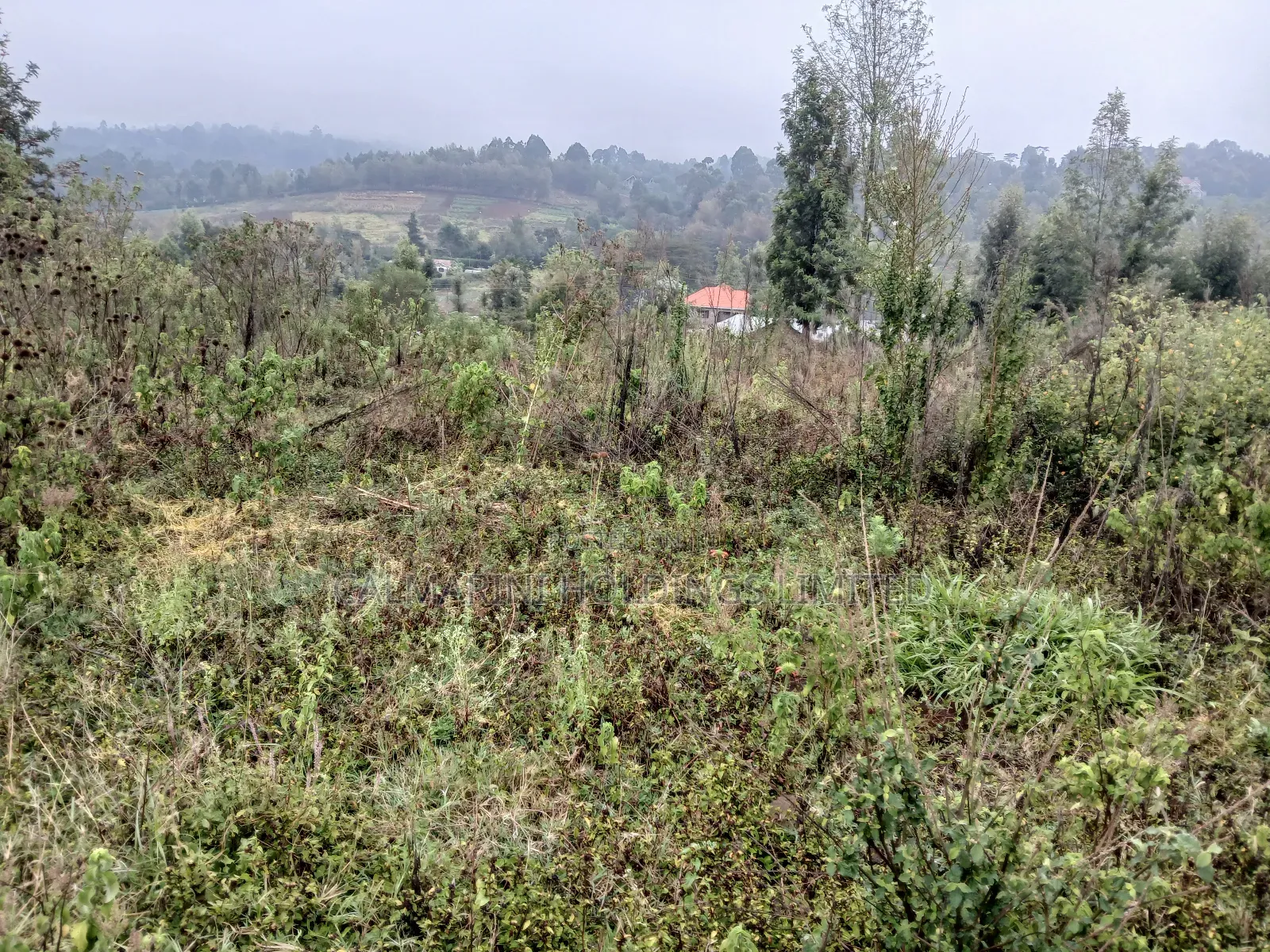 Distressed Full Quarter Acre Near Roimen Tarmac in Upper Matasia