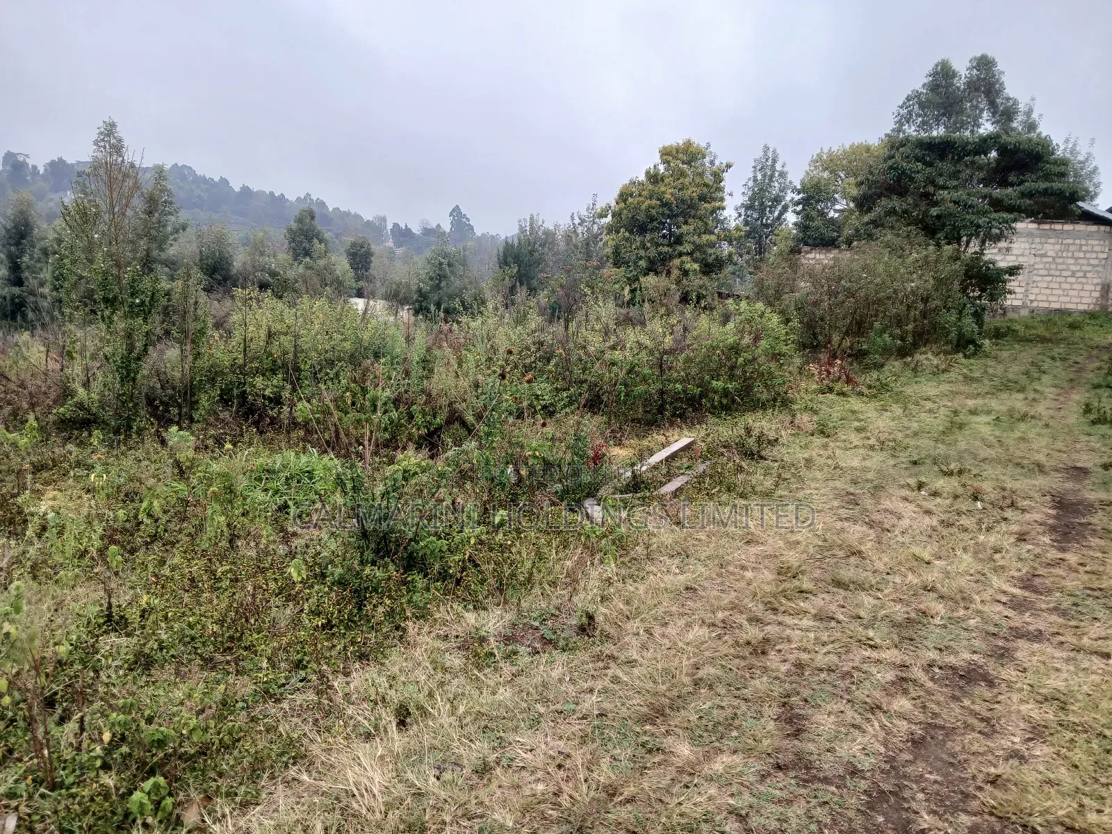 Distressed Full Quarter Acre Near Roimen Tarmac in Upper Matasia