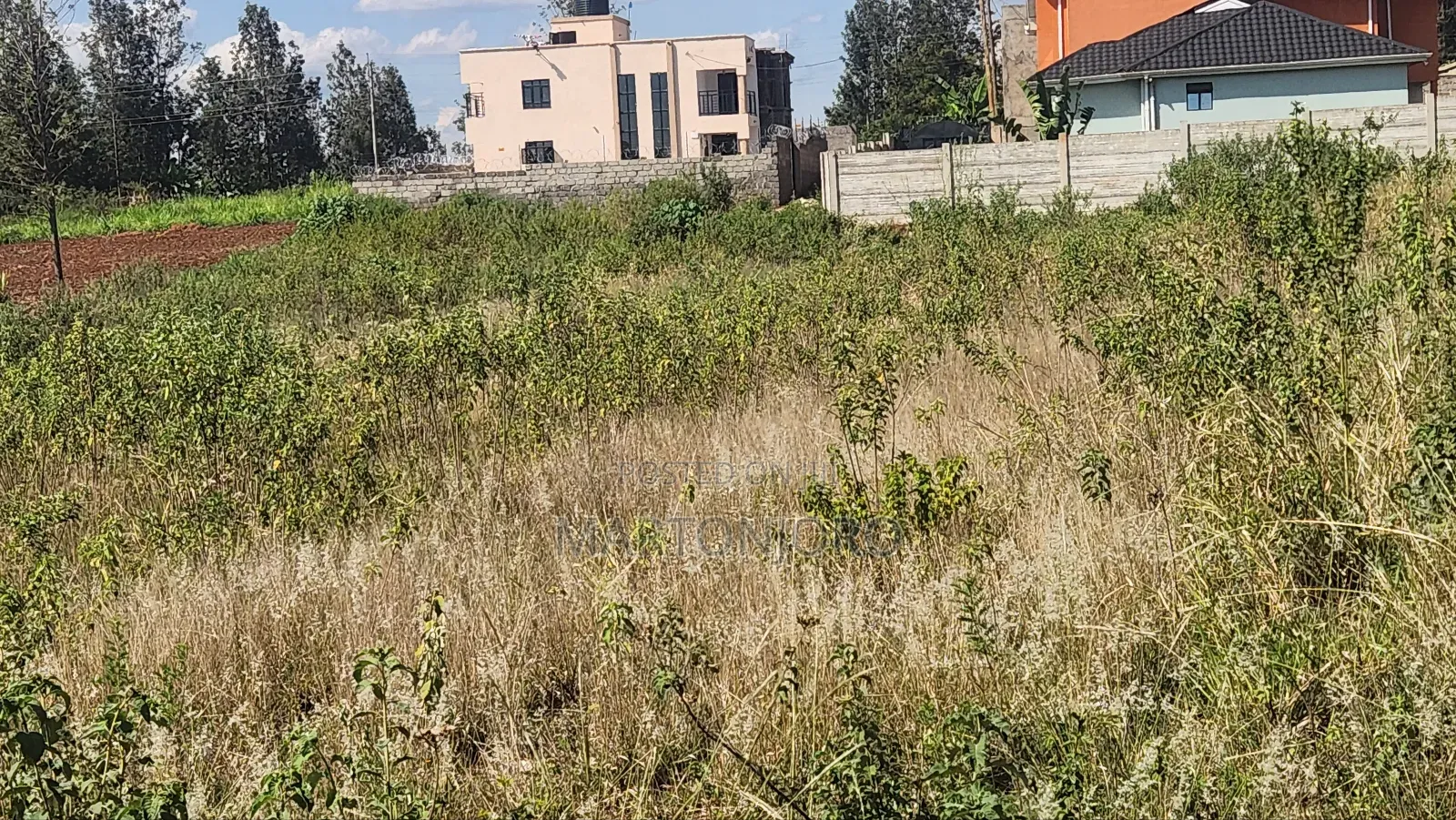 100by100 Mugutha Ruiru ( Damridge)