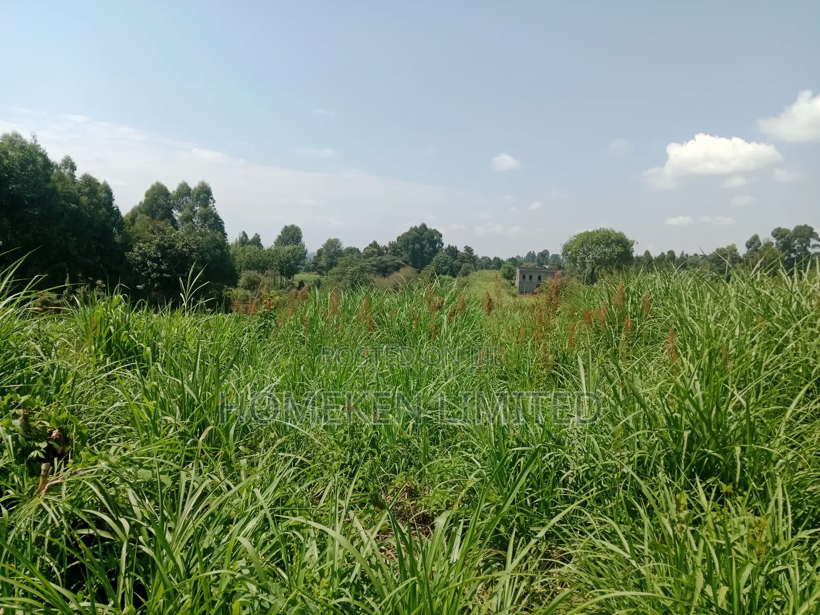 One Acre Land for Sale in Ngecha, Limuru