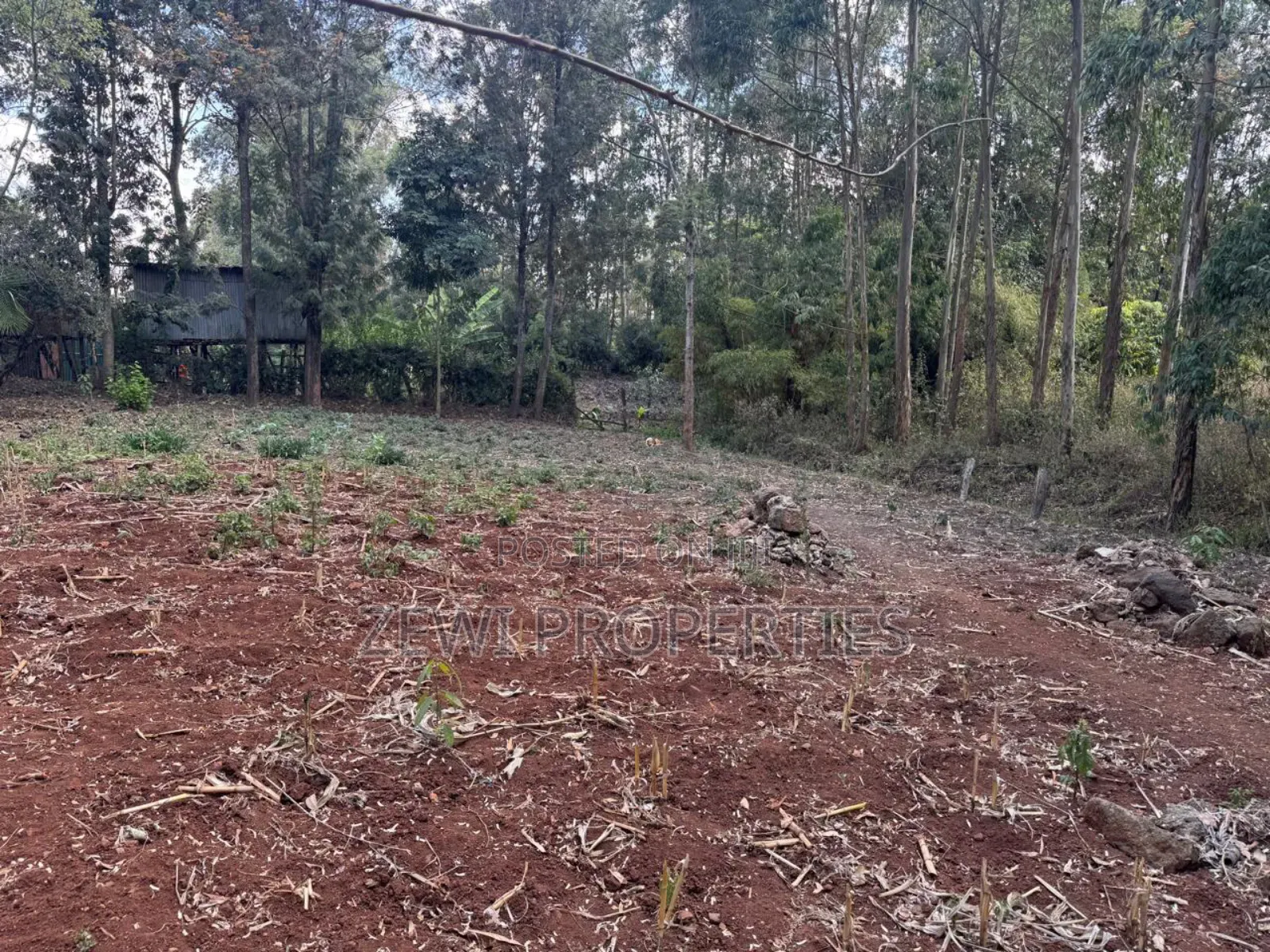 One Acre Kerarapon
