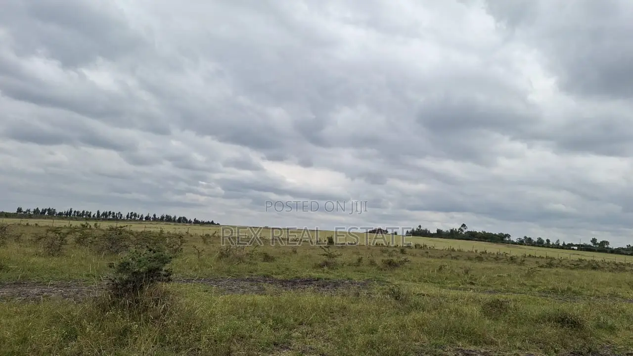 Amazing Investment Opportunity in Kitengela